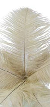 Load image into Gallery viewer, Ostrich feathers 5pcs at 15cm - 20cm in length