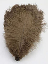 Load image into Gallery viewer, Ostrich feathers 5pcs at 15cm - 20cm in length
