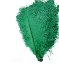 Load image into Gallery viewer, Ostrich feathers 5pcs at 15cm - 20cm in length