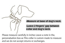 Load image into Gallery viewer, Personalised Luxury Velvet Dog Collar: Silver Rhinestones & Pearls, Wedding Pet Collar