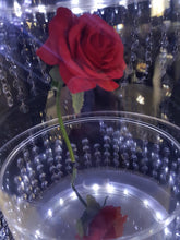 Load image into Gallery viewer, Cake Stand, MAGICAL RED ROSE', wedding cake divider, cake separator, Cake stand 6" 8" 10" 12" 14" by Crystal wedding uk