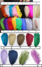 Load image into Gallery viewer, Ostrich Feather MINI Fan bouquet alternative Bouquet Great Gatsby wedding style 1920's -ANY COLOUR Artificial bouquet