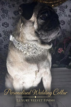 Load image into Gallery viewer, Personalised Luxury Velvet Dog Collar: Silver Rhinestones & Pearls, Wedding Pet Collar