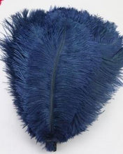 Load image into Gallery viewer, Ostrich feathers 5pcs at 15cm - 20cm in length