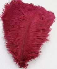 Load image into Gallery viewer, Ostrich feathers 5pcs at 15cm - 20cm in length