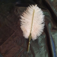 Load image into Gallery viewer, Ostrich Feather Quill Dip Pen Set . Matching Pen Stand for Weddings, Calligraphy, and Gifts
