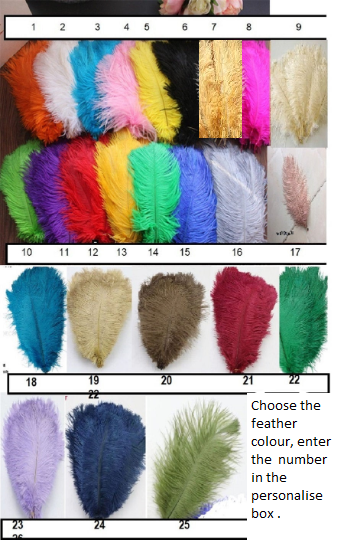 Ostrich feathers 5pcs at 15cm - 20cm in length