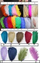 Load image into Gallery viewer, Featherheadpiece fsacinator head band , feather hair piece
