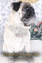 Load image into Gallery viewer, Personalised Luxury Velvet Dog Collar: Silver Rhinestones &amp; Pearls, Wedding Pet Collar
