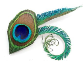 Peacock Sword Feather and small. Medium Large , hair fascinator. Buttonhole Boutonniere Wedding